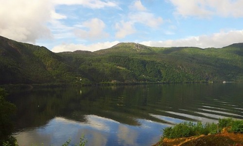 Zdjcie NORWEGIA / Norwegia poudniowo - zachodnia / trasa kolejowa Bergen - Myrdal / norweskie krajobrazy