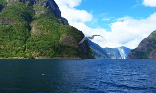 Zdjcie NORWEGIA / Norwegia poudniowo zachodnia / Naroyfjord / Naroyfjord