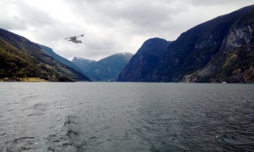 Zdjcie NORWEGIA / Norwegia poudniowo - zachodnia / Naroyfjord / Naroyfjord
