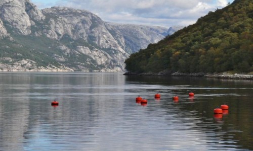 Zdjcie NORWEGIA / okolice Stavanger / Jonsfiord / Fiordowisko