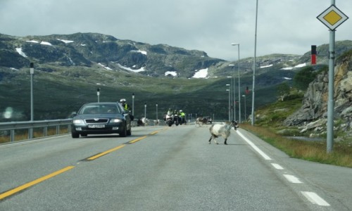 Zdjęcie NORWEGIA / Telemark / Haukelifjell / Norwegia