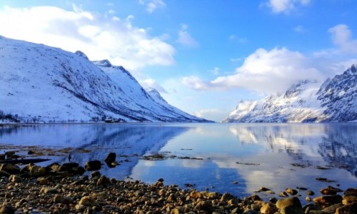 Zdjcie NORWEGIA / Pnoc / Ersfjordbotn / Pnocna Norwegia
