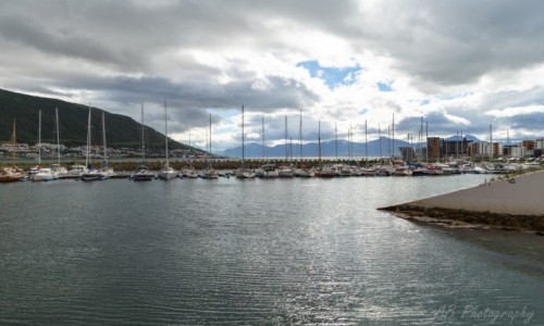 Zdjęcie NORWEGIA / Północna Norwegia  / Tromso / Przystań