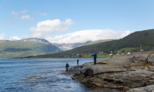 Zdjęcie NORWEGIA / Północna Norwegia  / Tromso / Wędkarze