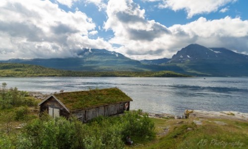 Zdjcie NORWEGIA / Pnocna Norwegia  / Tromso / Kladfjord