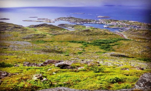 Zdjecie NORWEGIA / Lofoten / Skrova  /  Lofoten Summer