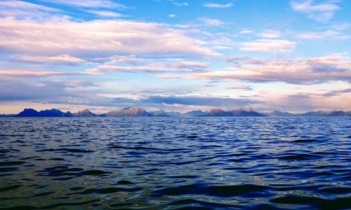 Zdjecie NORWEGIA / Lofoten / Skrova  /  Lofoten Summer