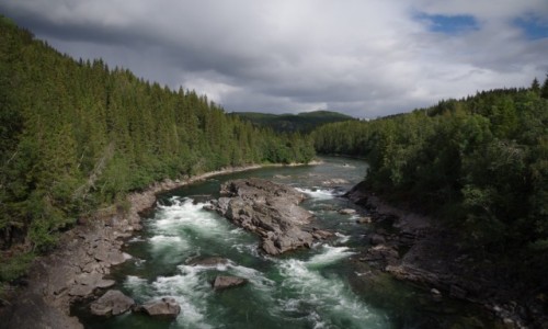 Zdjcie NORWEGIA / Norwegia pnocna / Gdzie po drodze... / Norwegia