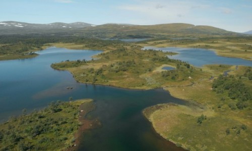 Zdjcie NORWEGIA / Norwegia / Gdzie midzy Roros a Tresil / Norwegia