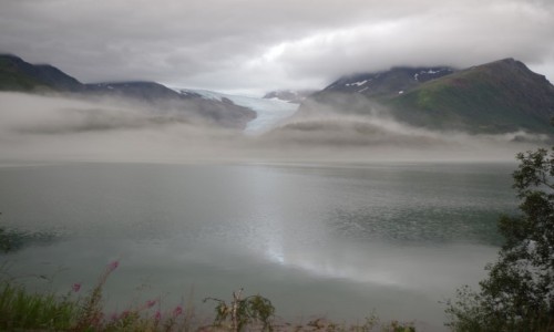 Zdjcie NORWEGIA / Na pnocy / Halsa - Svartisen / Norweskie pocztwki
