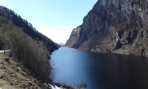 Zdjecie NORWEGIA / Norddal Fjord / Flora / Fjord