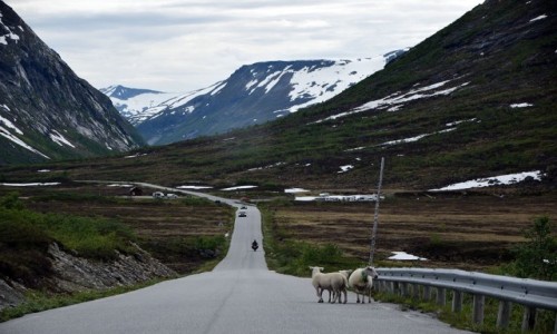 Zdjcie NORWEGIA / More og Romsdal / Geiranger / Droga z Andalsnes do Geiranger