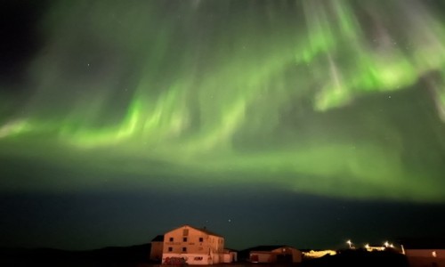 Zdjcie NORWEGIA / Lofoty / Henningsvear / Pozdrowienia z Lofotw