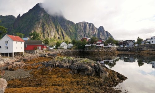 Zdjcie NORWEGIA / Lofoty / Svinøya / Wyspa Svinøya - potem si rozpogodzio :)
