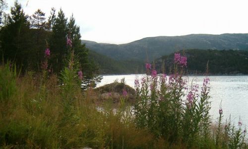 Zdjecie NORWEGIA / brak / slordal / Slordal