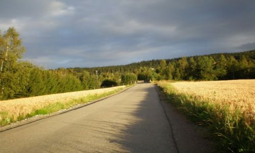 Zdjęcie NORWEGIA / brak / ok 40 km od stolicy / pa vei