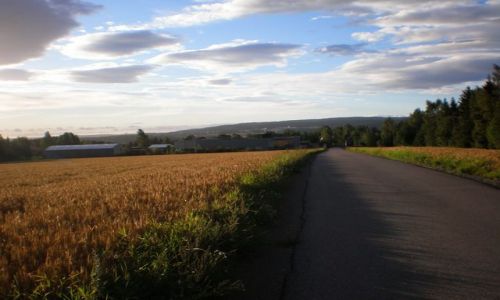 Zdjęcie NORWEGIA / brak / ok 40 km od stolicy / pa vei