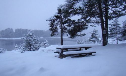 Zdjecie NORWEGIA / brak / ok 40 km od stolicy / zima