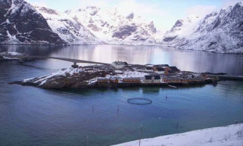 Zdjecie NORWEGIA / lofoty / kolo Reine /   Norwegia 2006