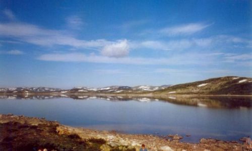 Zdjęcie NORWEGIA / brak / Handargervidda / Handargervidda