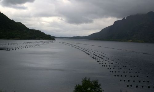 Zdjecie NORWEGIA / brak / norwegia / łowisko