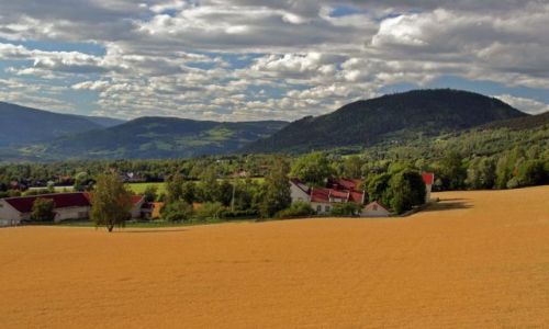 Zdjecie NORWEGIA / brak / Okolice OTTA / * * *