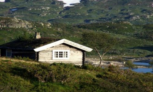 Zdjęcie NORWEGIA / brak / przy drodze Oslo-Bergen / bez prądu