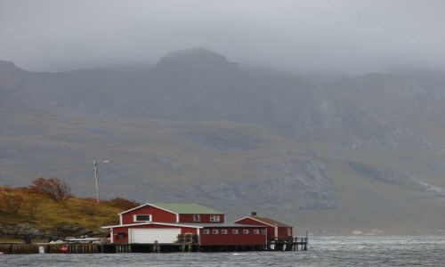 Zdjecie NORWEGIA / brak / sarysoy / ....