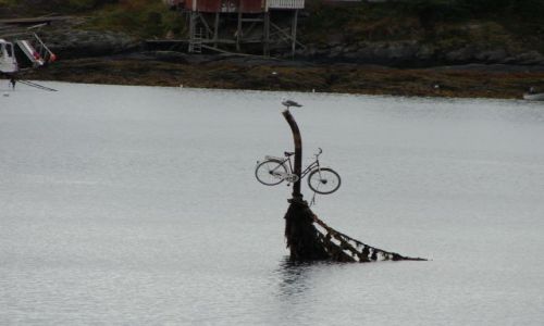 Zdjecie NORWEGIA / brak / Moskenes / Rower