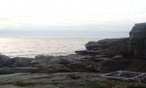 Zdjecie NORWEGIA / Rogaland / Stavanger / Grillowanie w Stavanger