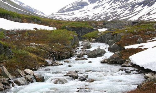Zdjęcie NORWEGIA / brak / Okolice Sognefjord / VIII