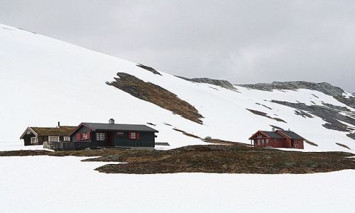 Zdjęcie NORWEGIA / brak / Okolice Sognefjord / IX