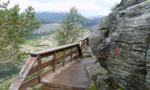 Zdjęcie NORWEGIA / południe Norwegii / okolice Lysefjorden / w drodze na Preikestolen