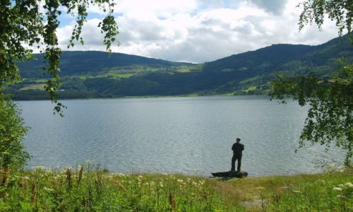 Zdjęcie NORWEGIA / brak / Voss / O poranku