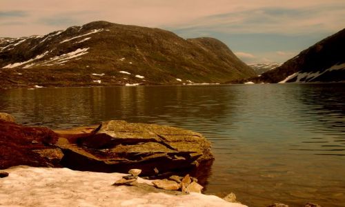 Zdjęcie NORWEGIA / W drodze z Geiranger do Lom / Djupvasshytta / Widoczki