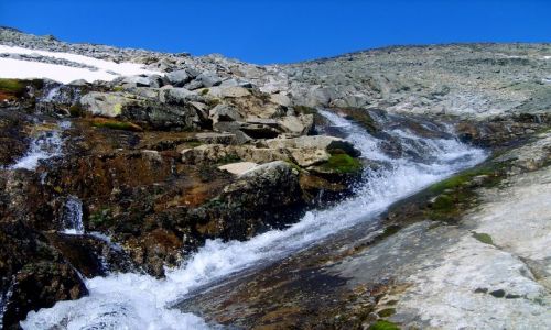 Zdjęcie NORWEGIA / Jotunheimen / okolice Spiterstulen / Potok