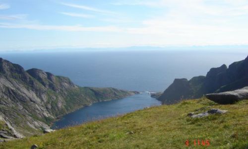 Zdjecie NORWEGIA / brak / Servogen / ,,,