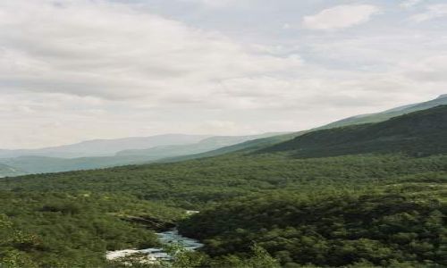 Zdjęcie NORWEGIA / brak / okolice Lom / U stóp Jotunheimen