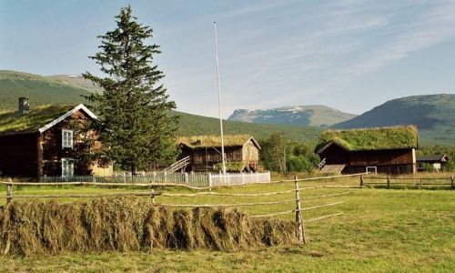 Zdjcie NORWEGIA / Finmark / okolice Tromso / Prawdziwe bogactwo Norwegii