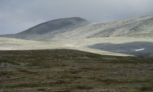 Zdjęcie NORWEGIA / Oppland / Rondane National Park / Rondane