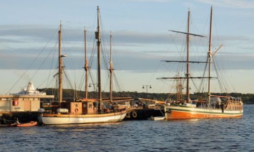 Zdjecie NORWEGIA / brak / Oslo / Gole zaglowce