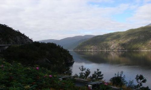Zdjecie NORWEGIA / Stavanger  / po trasie / po trasie
