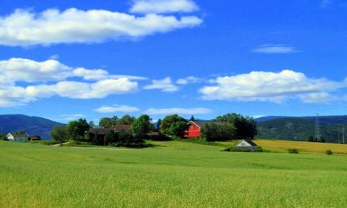 Zdjecie NORWEGIA / Skien / w drodze na działke / Typowy widok w Norwegi