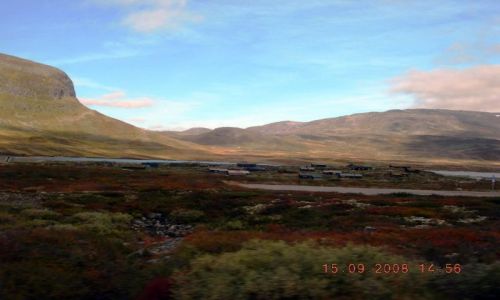Zdjęcie NORWEGIA / Sognefiord / Sognefiord / droga do LAERDAL