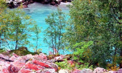 Zdjęcie NORWEGIA / Sognefiord / Laerdal / okolice Sognefiordu