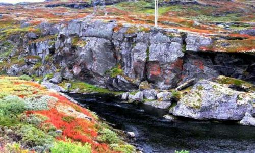 Zdjecie NORWEGIA / Okolice Sognefiordu / okolice Laerdal / Sognefiord