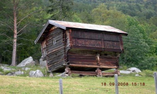 Zdjecie NORWEGIA / Okolice Sognefiordu / okolice Geilo / prawie wszędzie w Norwegii