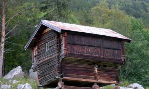 Zdjecie NORWEGIA / Sognefiord / okolice Geilo / norweska chatka-poprawiona fotka