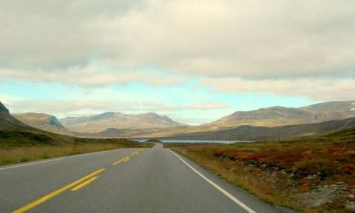 Zdjęcie NORWEGIA / Sognefiord / Droga do Laerdal.... / Fjordy