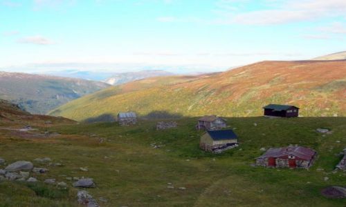 Zdjęcie NORWEGIA / Sognefiord / Aurland / śnieżna droga